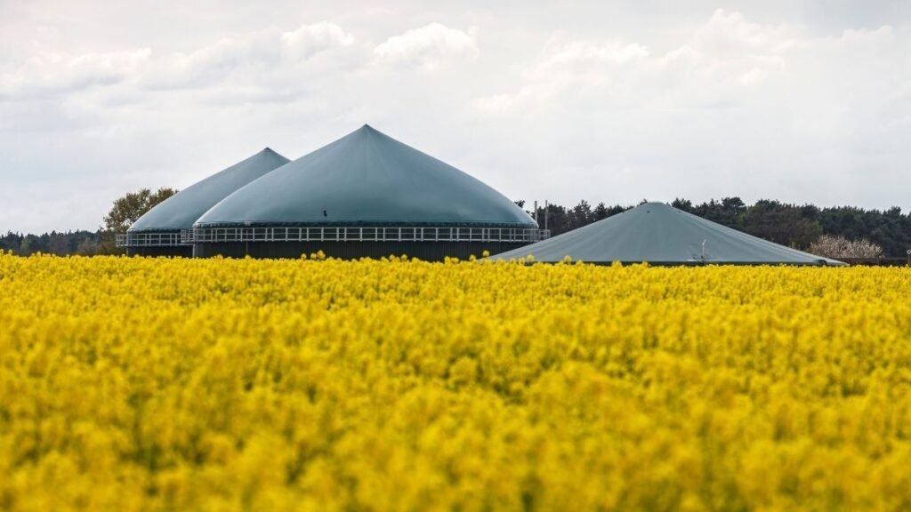 Biogas generation Plant