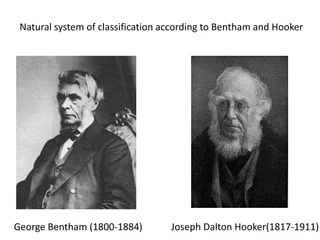 Bentham and hooker classification