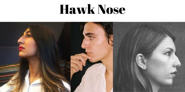 hawk Nose