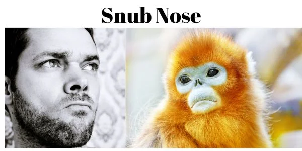 Snub Nose
