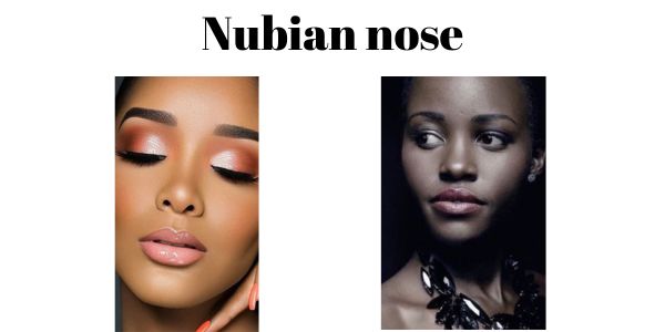 nubian nose