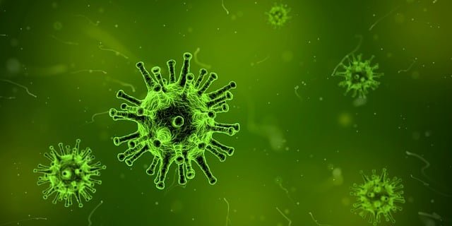 h3n2 virus