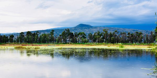 Lake Xochimilco