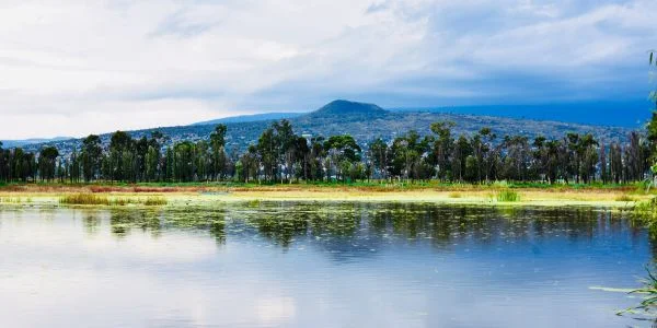 Lake Xochimilco