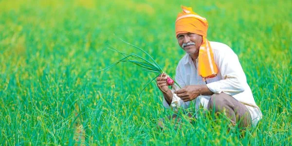 PM Kisan yojana