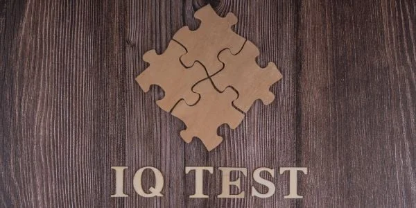 iq test