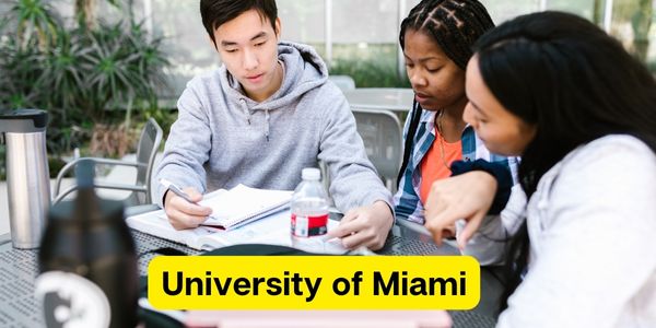 University of Miami – Fees, Admission, Location & More