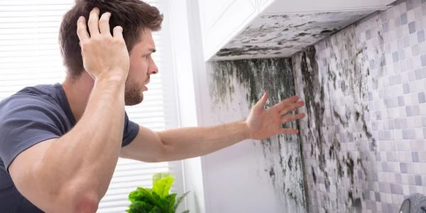 10 Warning Signs of Mold Toxicity