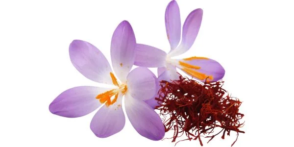 Saffron