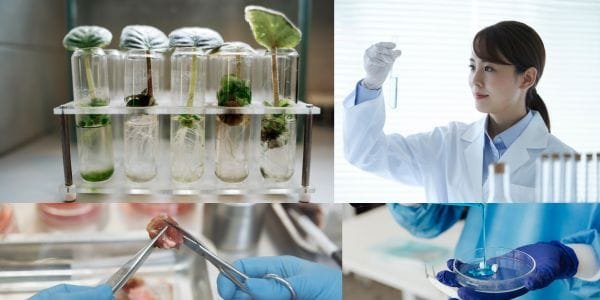 Bioengineering
